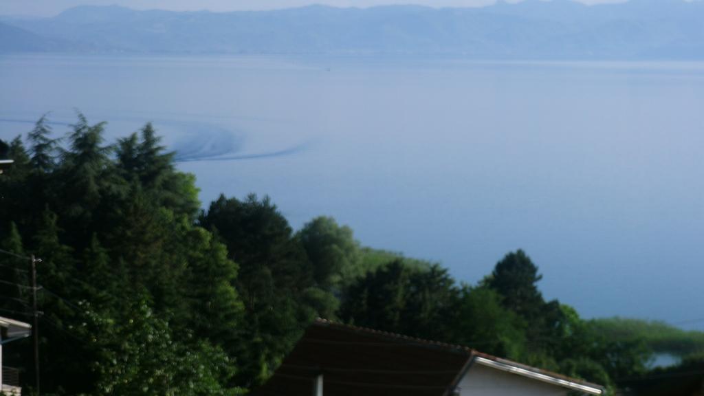 Villa Novak Ohrid Eksteriør billede